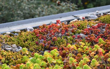 the cost of Grindleton green roof installation
