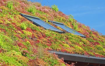 Grindleton living roof systems