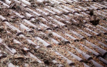 Grindleton roof cleaning companies