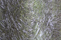 Grindleton fibreglass roof work